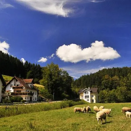 Guest house Hirschen-dorfmuehle 3*
