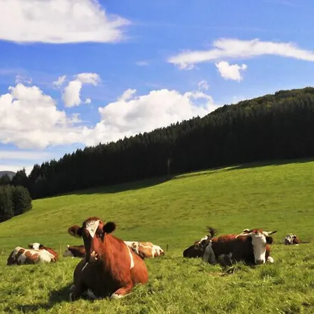 Penzion Hirschen-dorfmuehle 3*