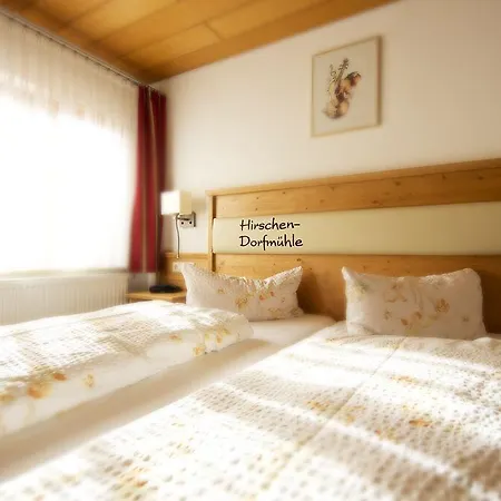 Hirschen-dorfmuehle Penzion 3*