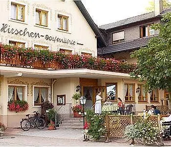 Hirschen-dorfmuehle Guest house Biederbach